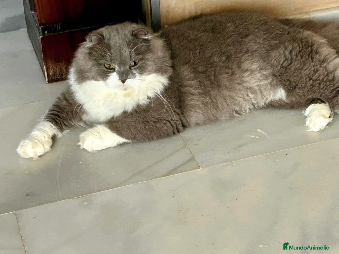 Imagen de galería {{count}}