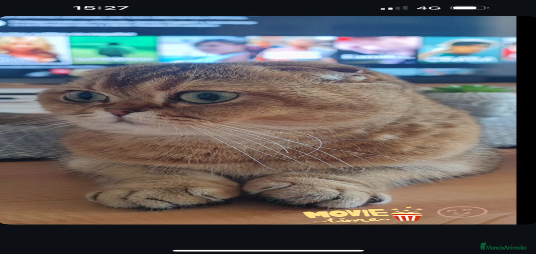 Imagen de galería {{count}}