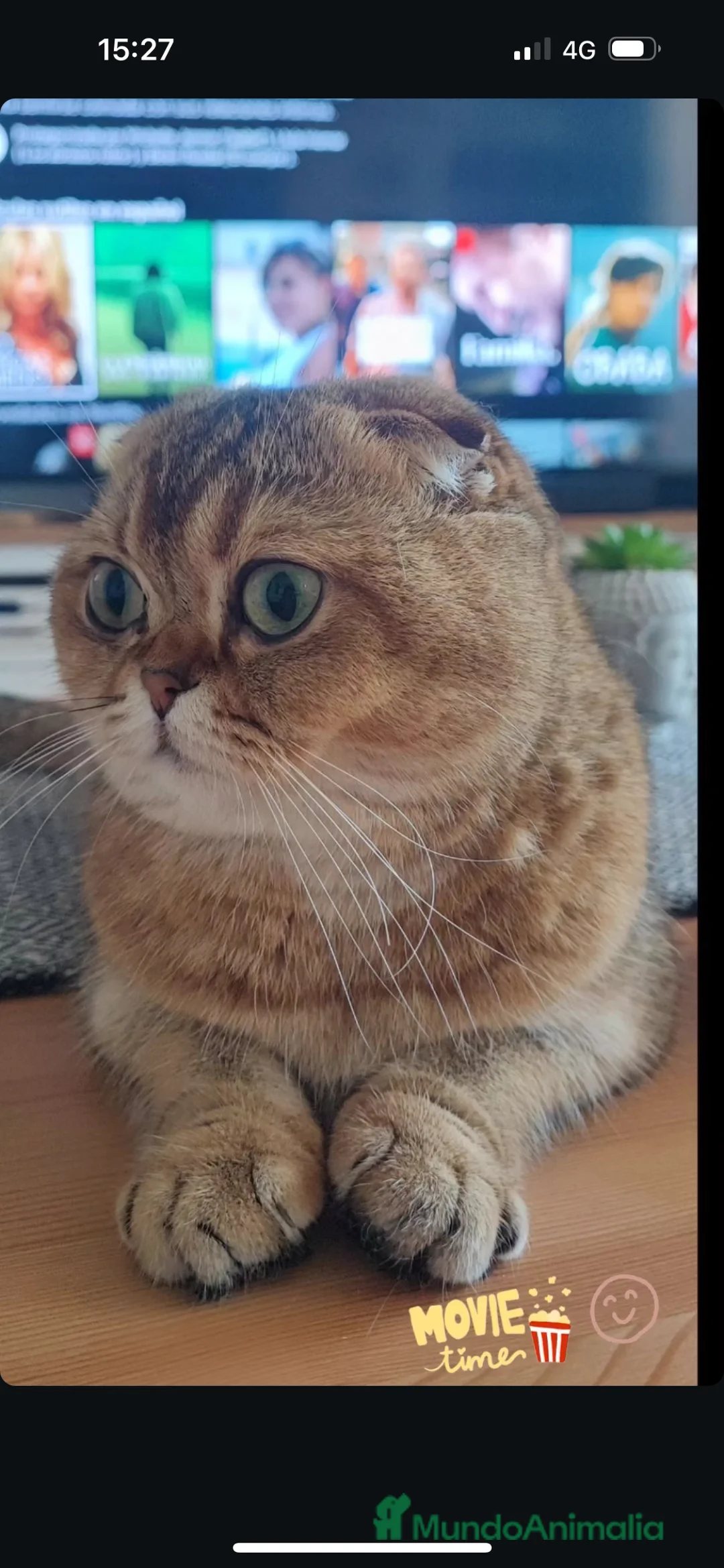 Imagen de galería {{count}}