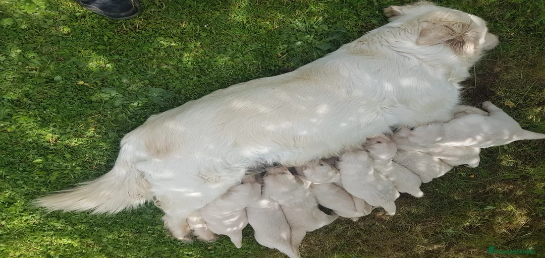 Imagen de galería {{count}}