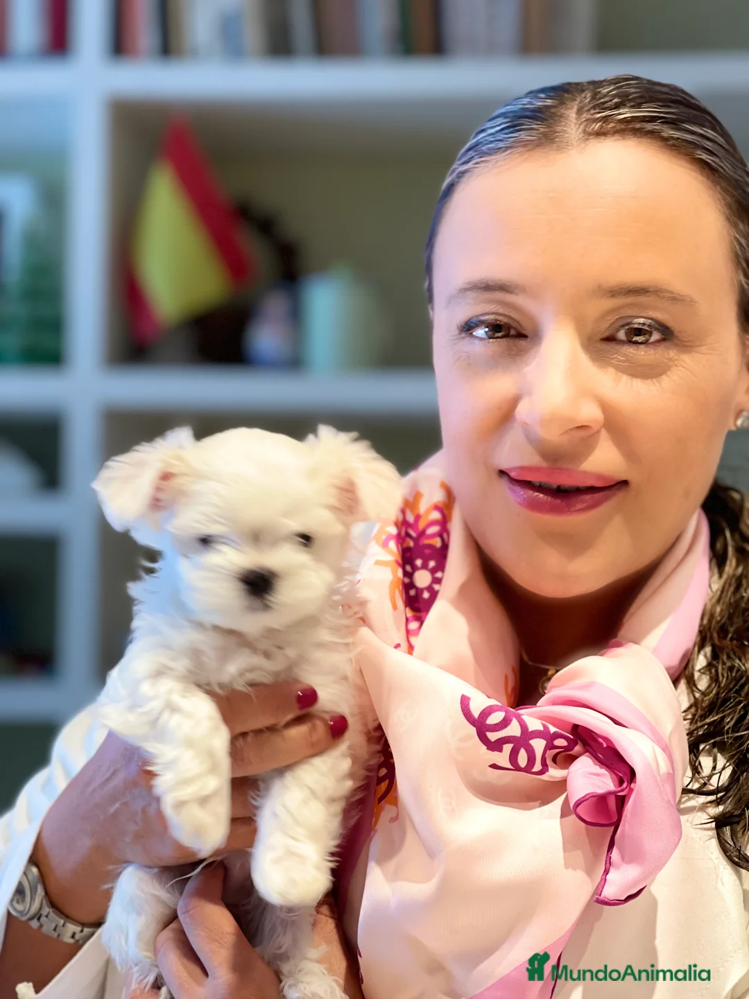 Imagen de galería {{count}}