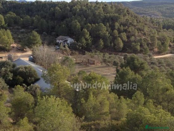 Imagen de galería {{count}}