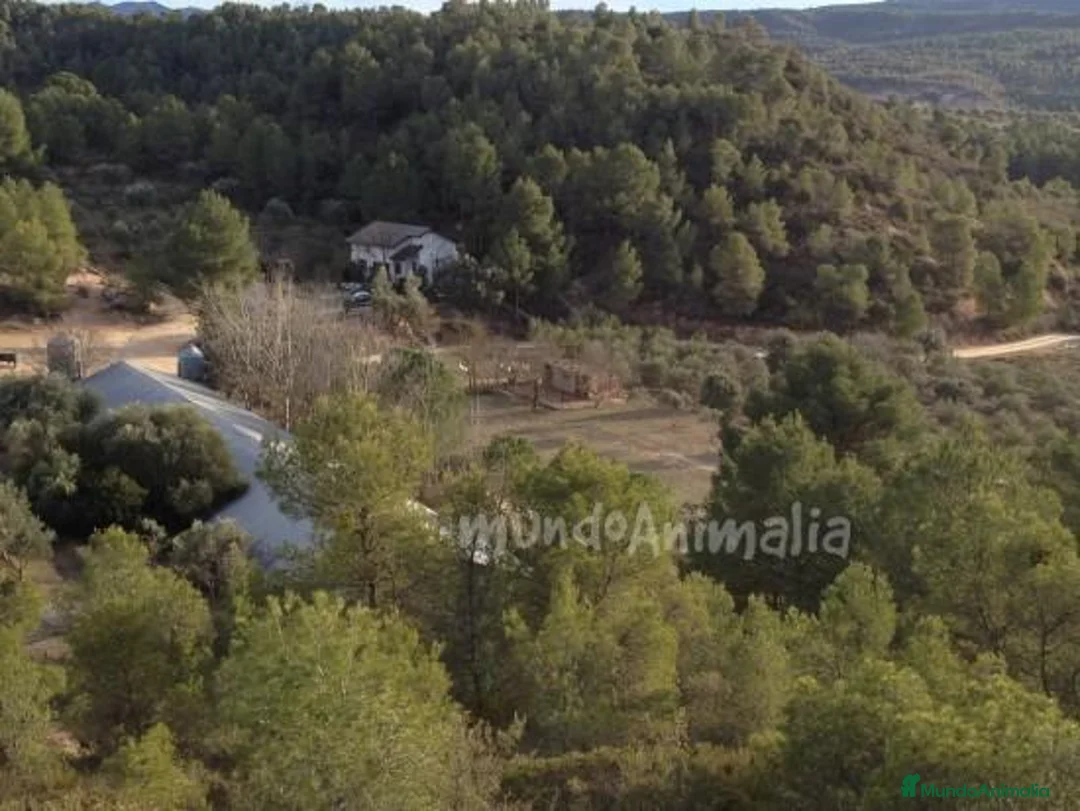 Imagen de galería {{count}}