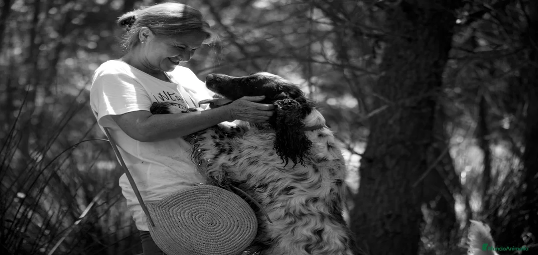 Imagen de galería {{count}}