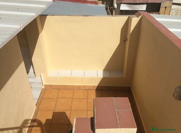 Imagen de galería {{count}}