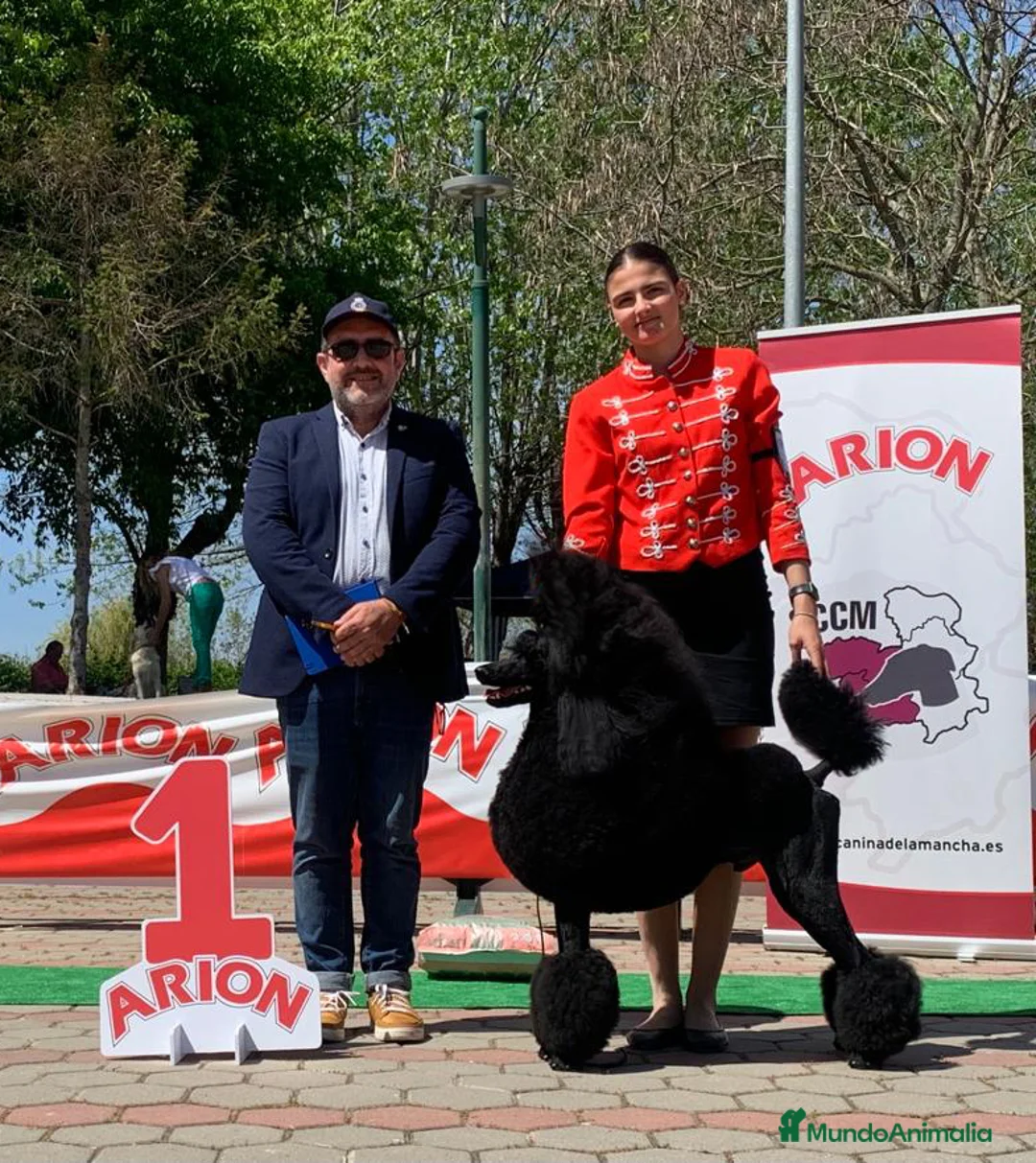 Imagen de galería {{count}}