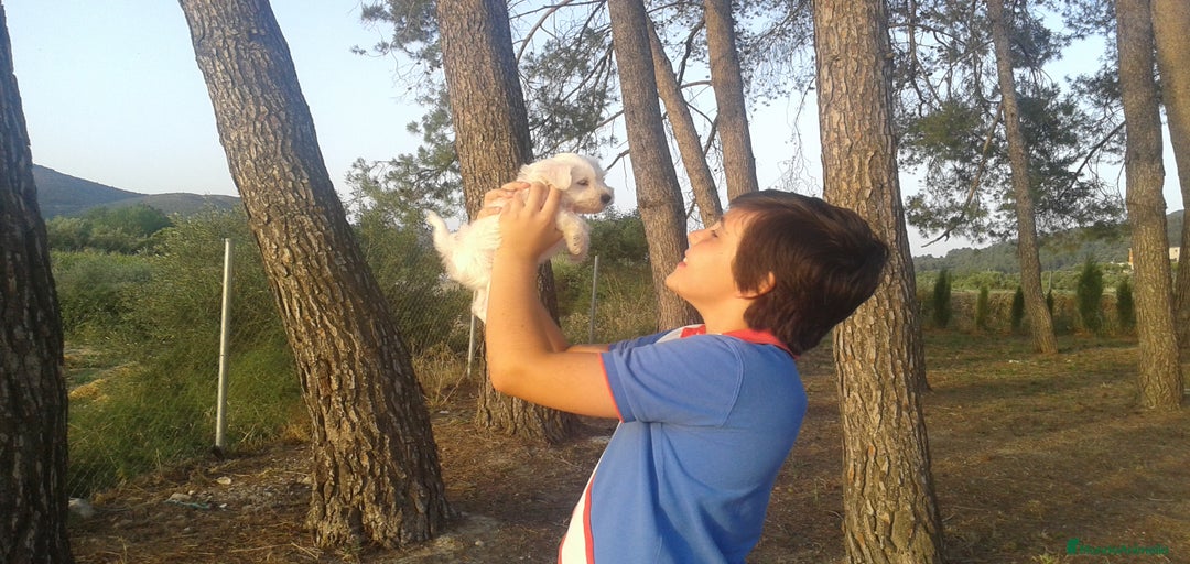 Imagen de galería {{count}}