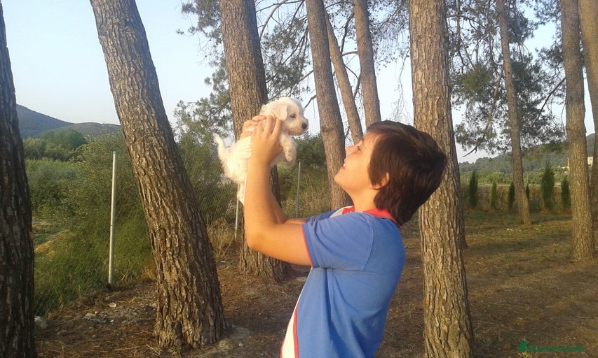 Imagen de galería {{count}}