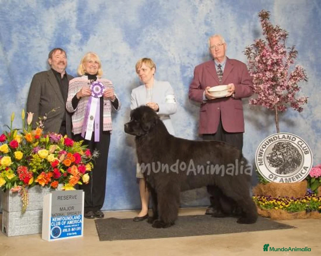 Imagen de galería {{count}}