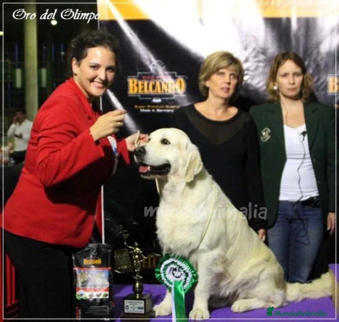 Imagen de galería {{count}}