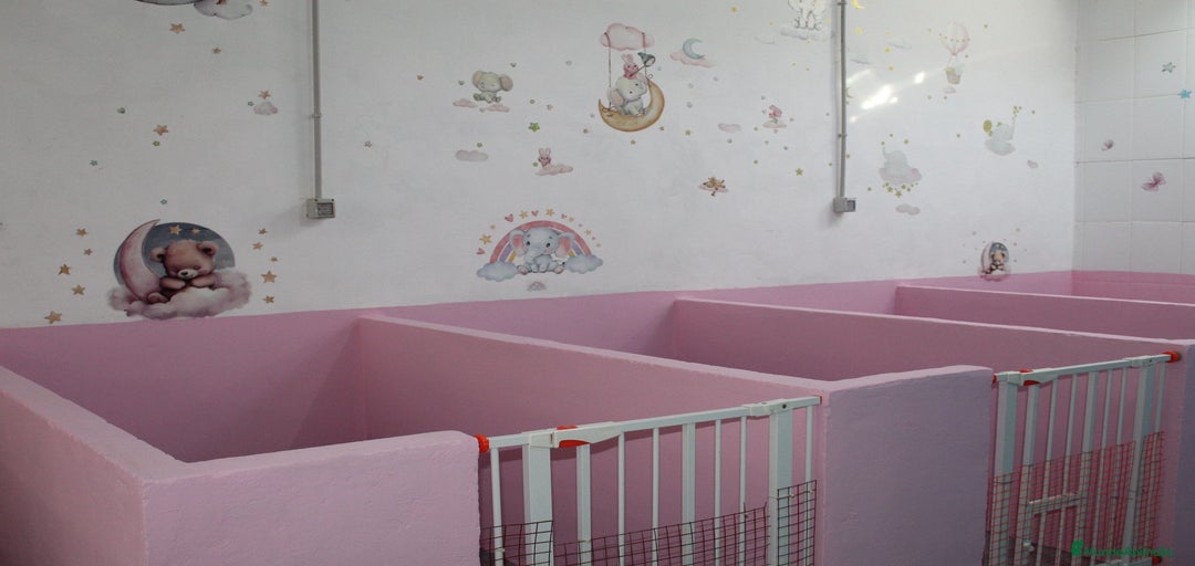 Imagen de galería {{count}}