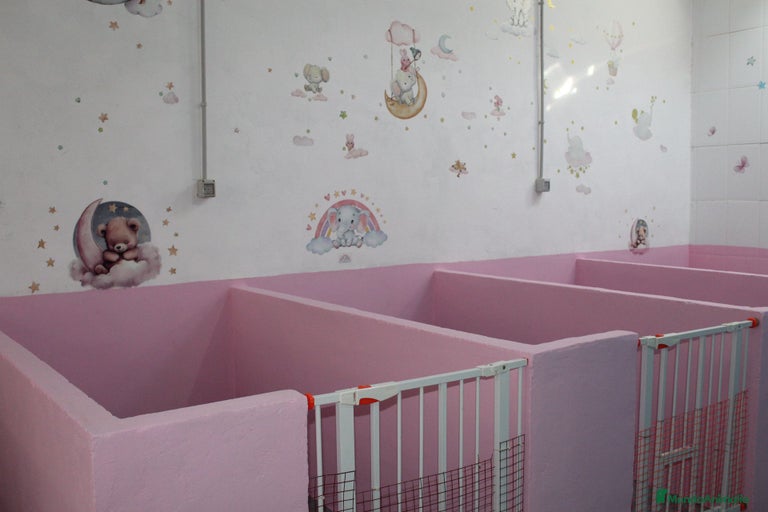 Imagen de galería {{count}}