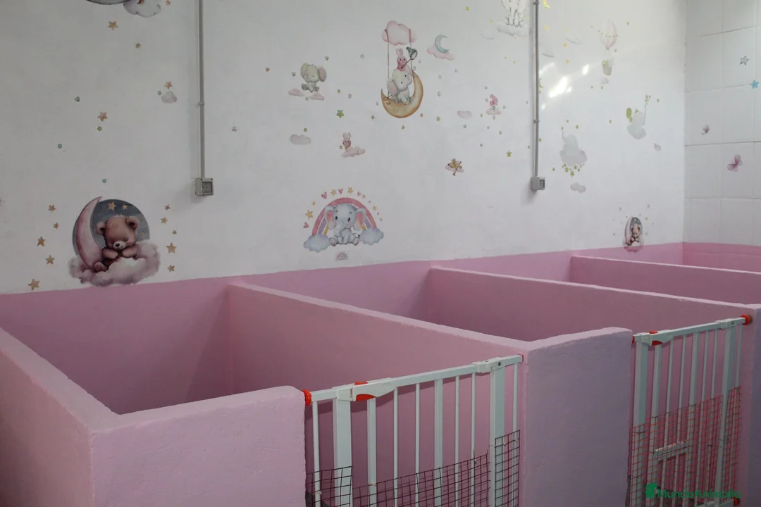 Imagen de galería {{count}}