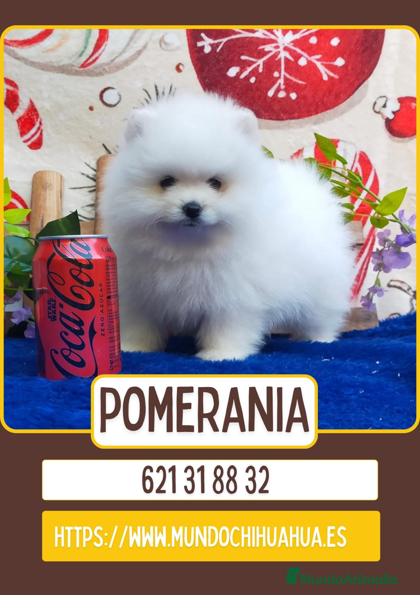 Pomerania perros Cachorros de pomerania toy  - Anuncio 1
