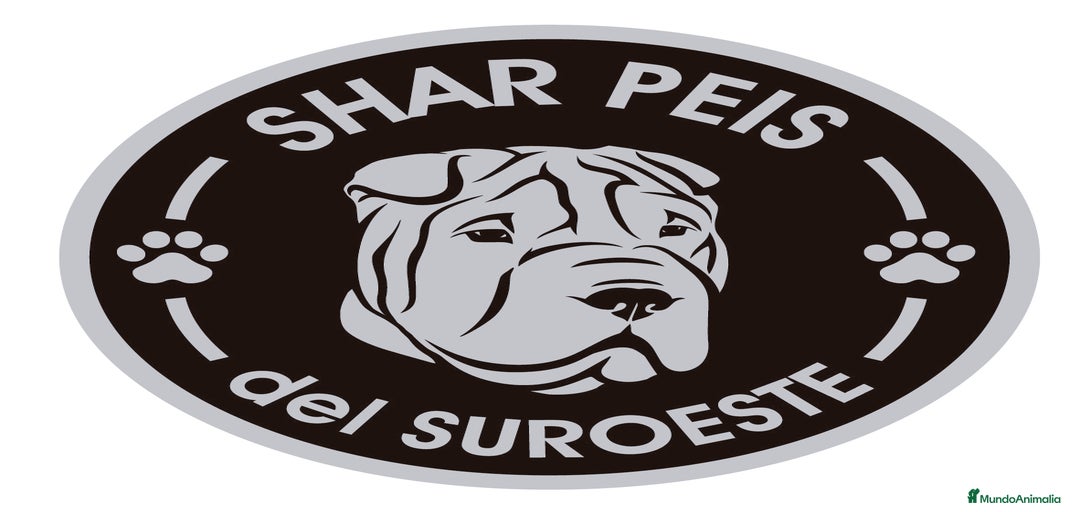 Imagen de galería {{count}}