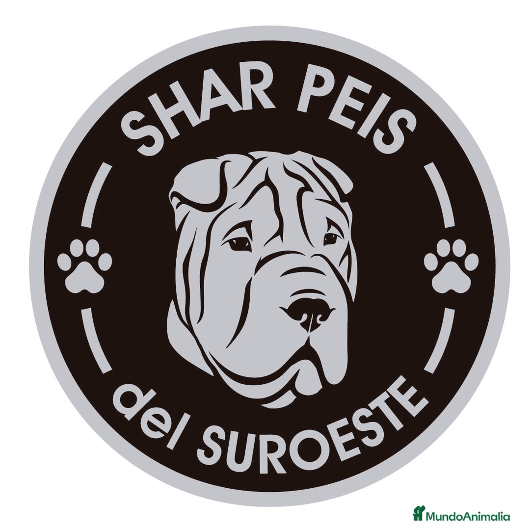 Imagen de galería {{count}}