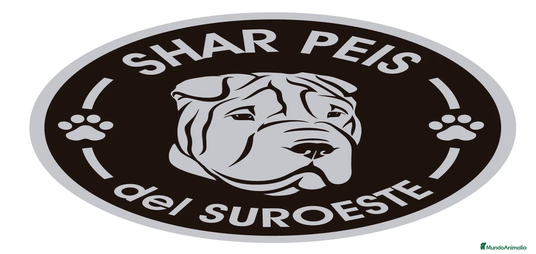 Imagen de galería {{count}}