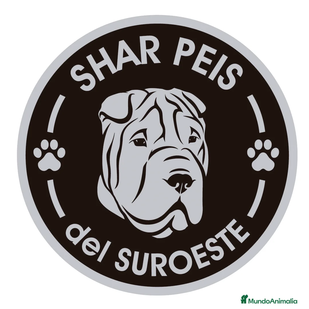 Imagen de galería {{count}}