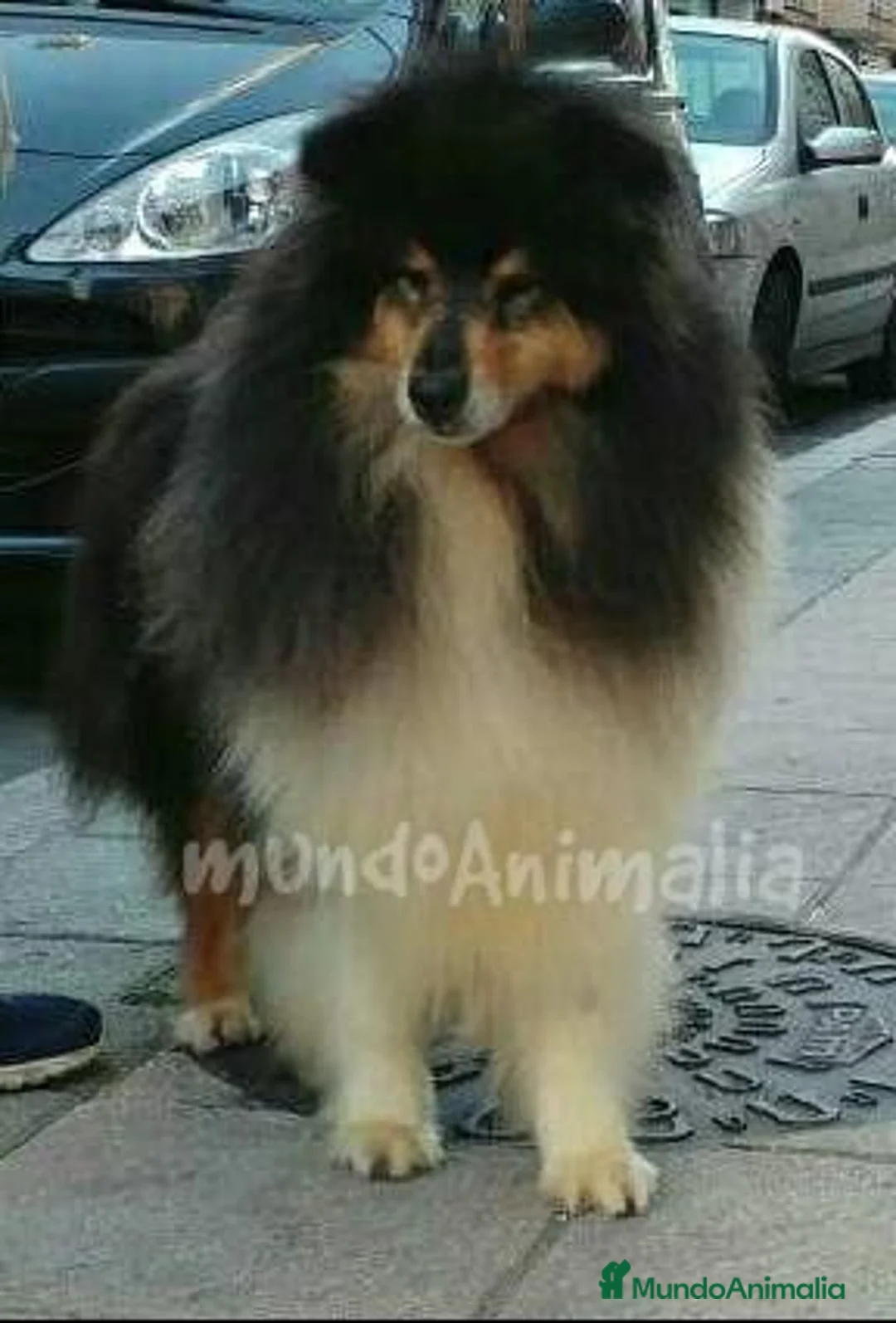 Imagen de galería {{count}}