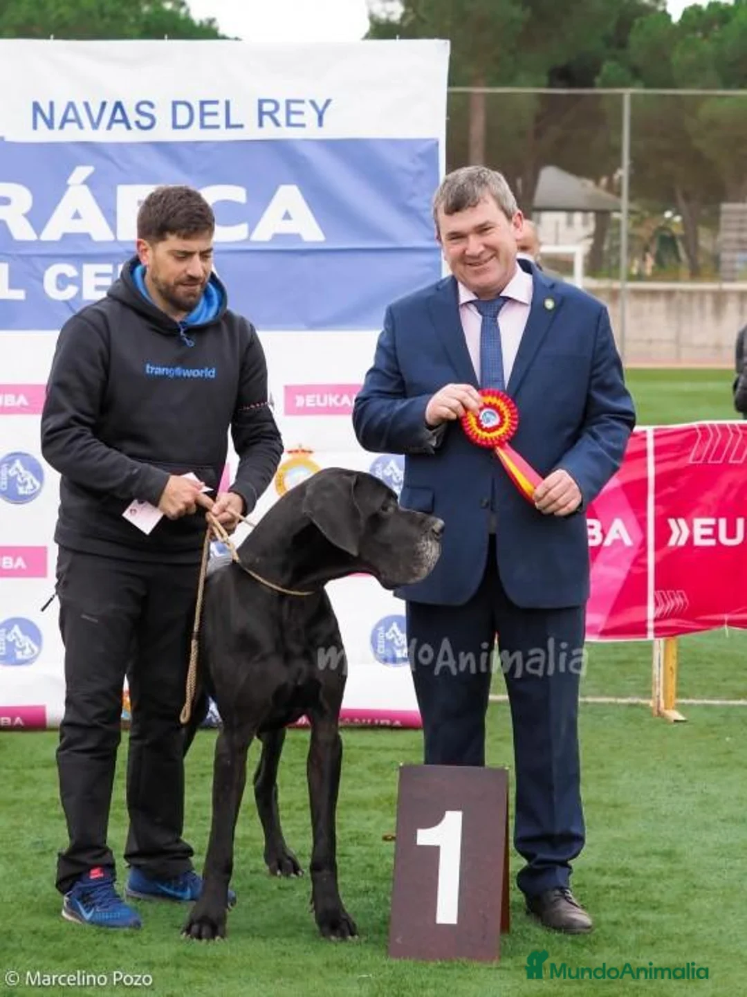 Imagen de galería {{count}}