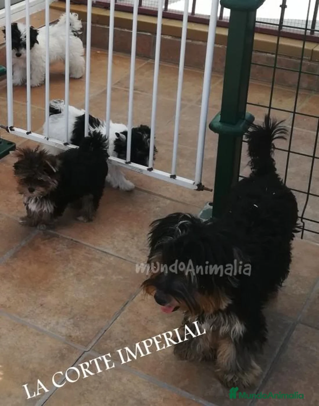 Imagen de galería {{count}}