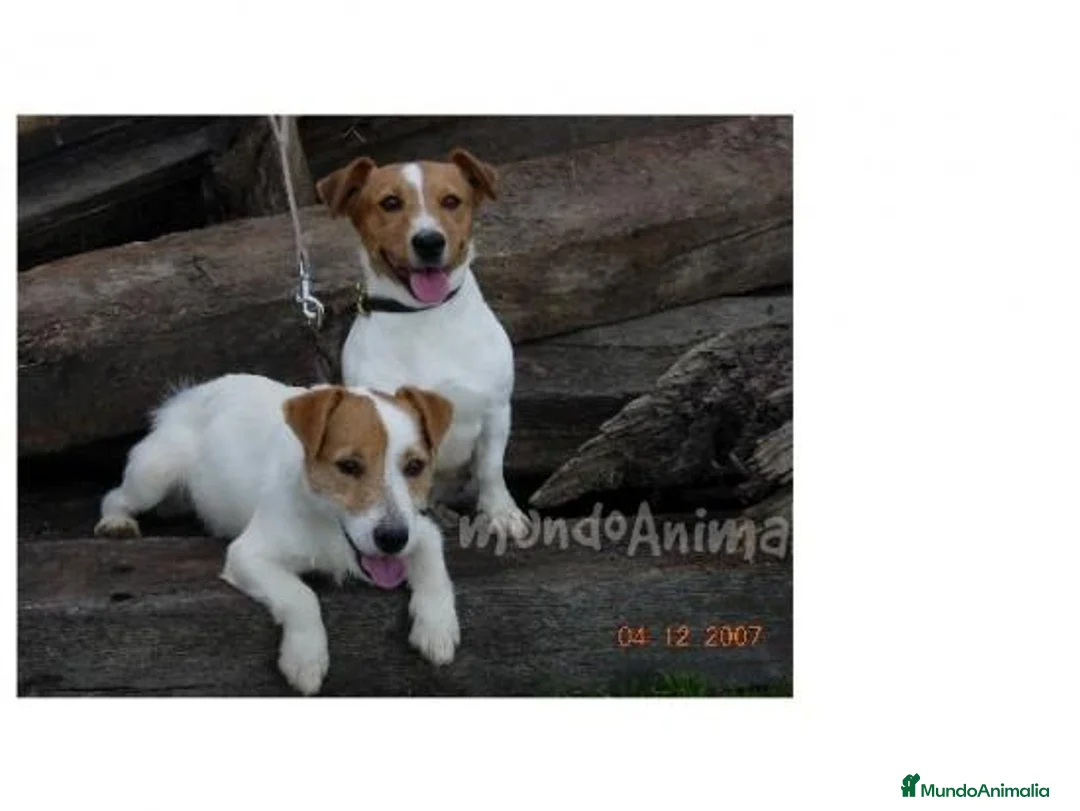 Imagen de galería {{count}}