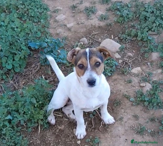 Imagen de galería {{count}}