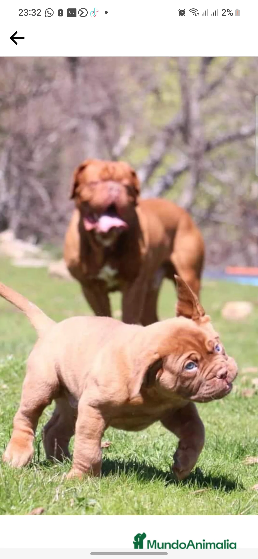 Imagen de galería {{count}}