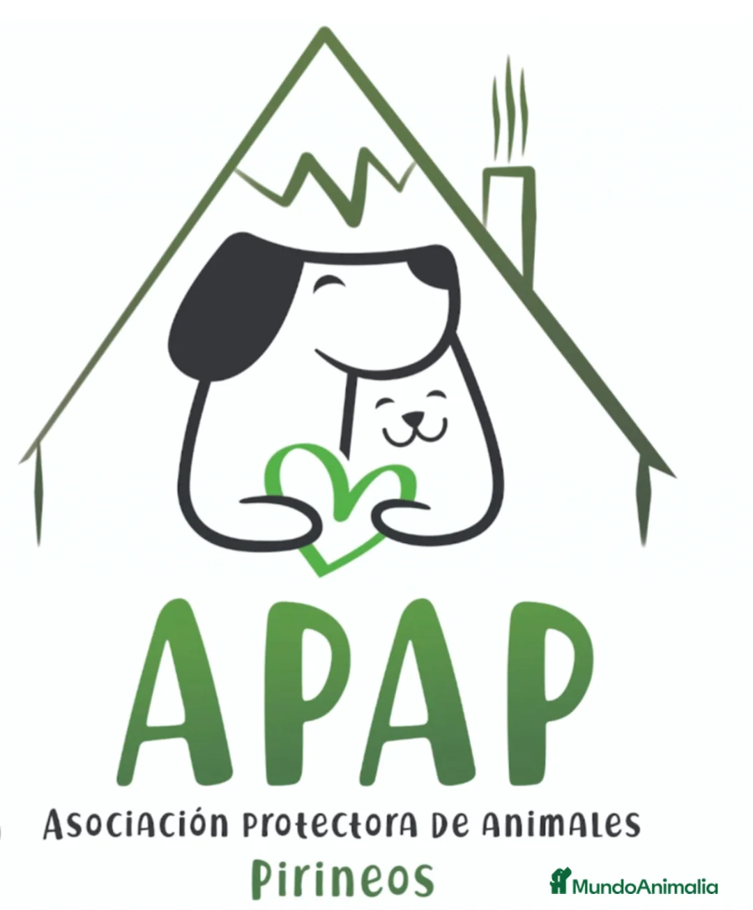Raza Mixta perros en adopcion: BRIDGET busca hogar - Anuncio 5