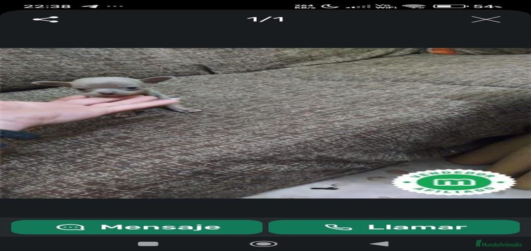 Imagen de galería {{count}}