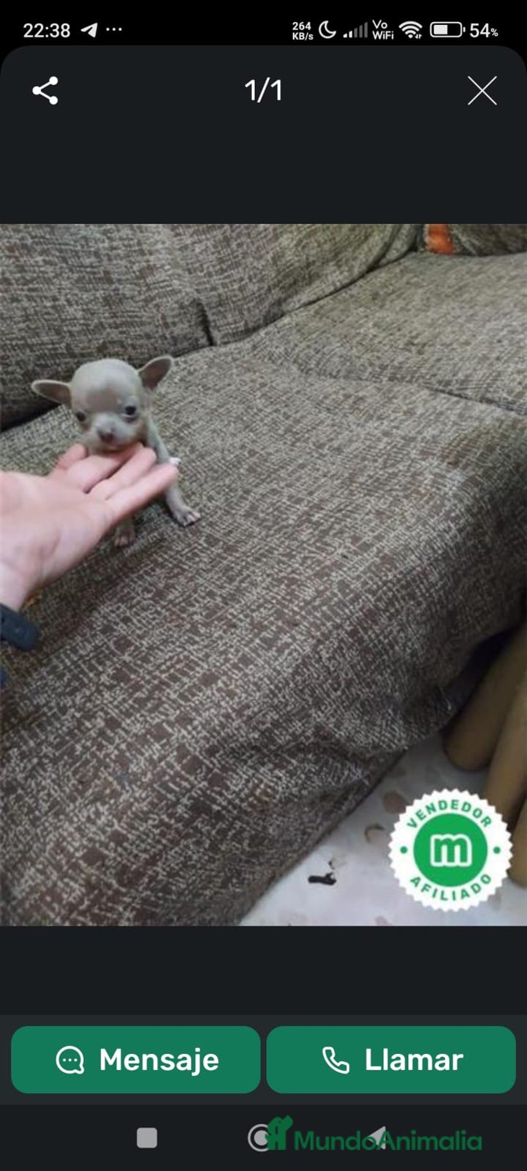 Imagen de galería {{count}}