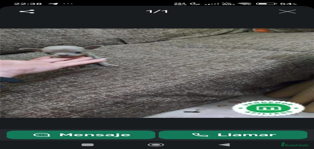 Imagen de galería {{count}}