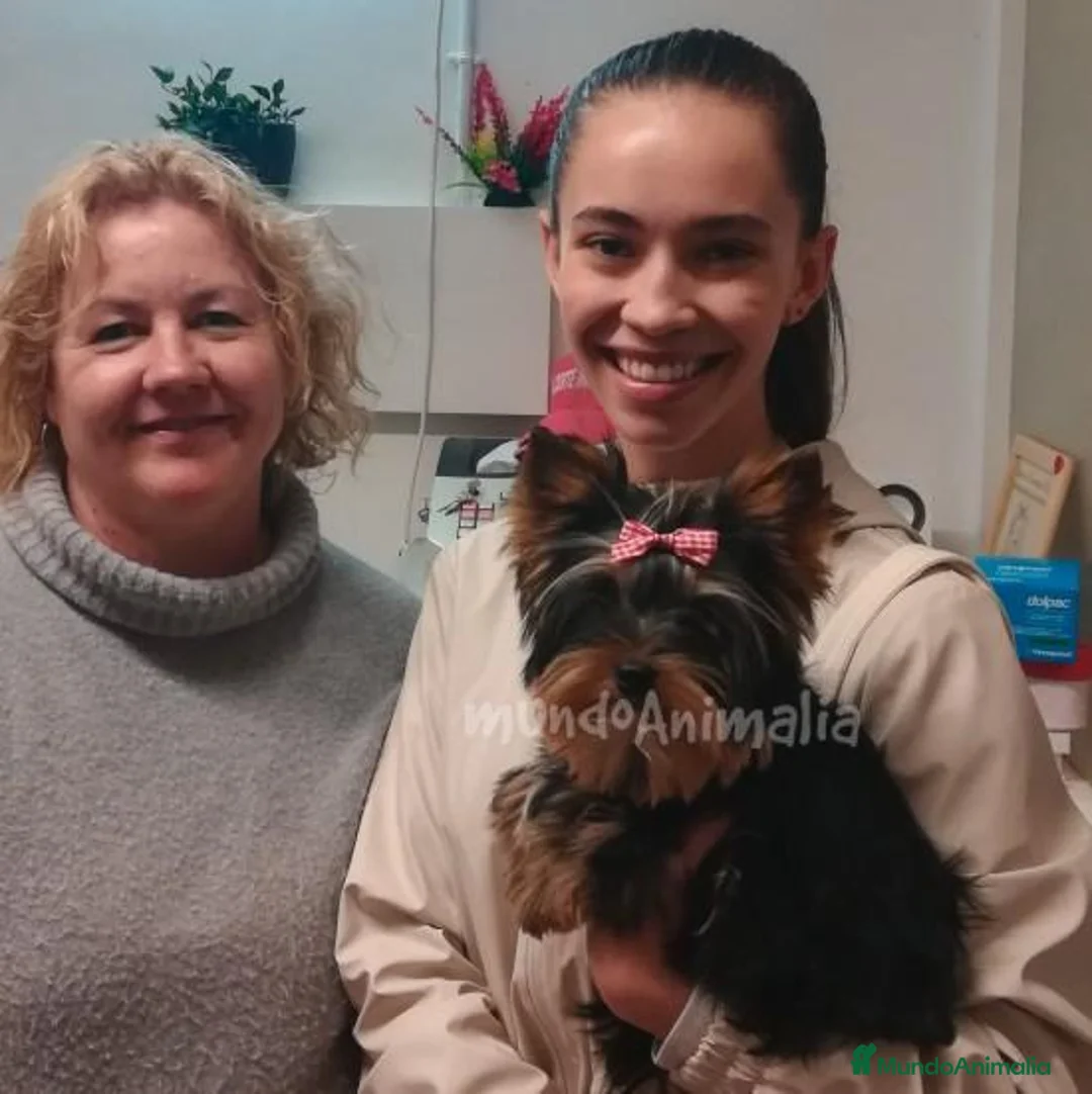 Imagen de galería {{count}}