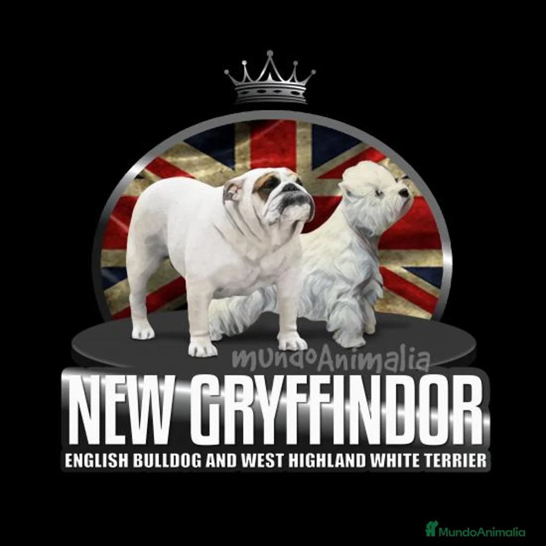 Imagen de galería {{count}}