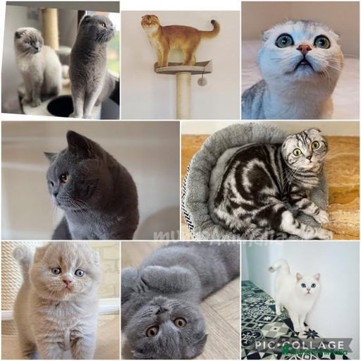 Imagen de galería {{count}}