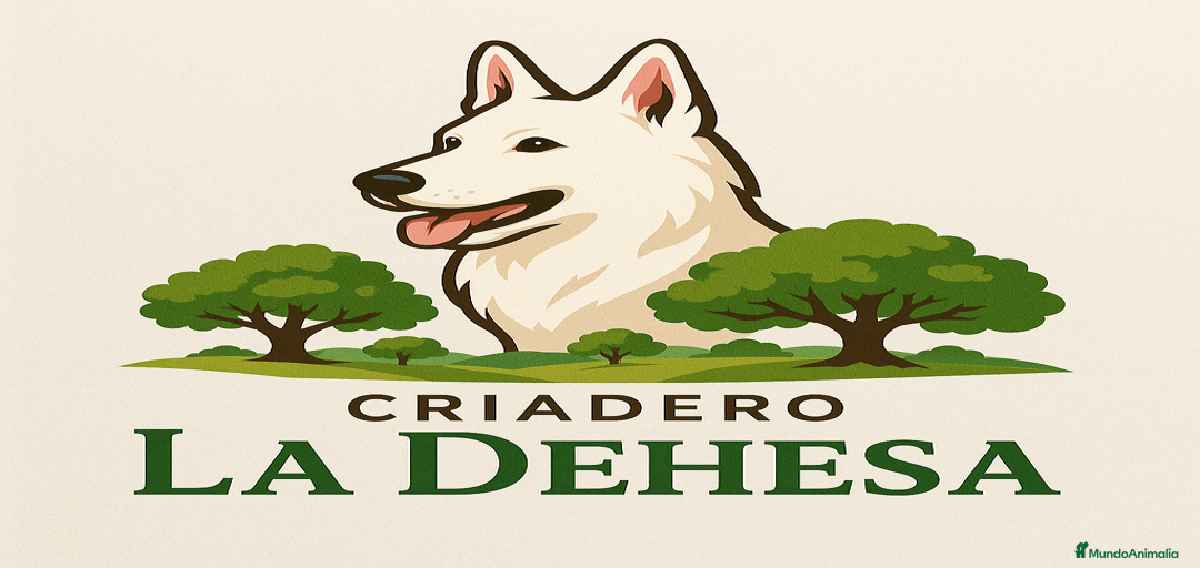 Imagen de galería {{count}}