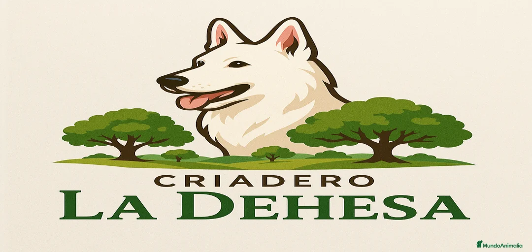 Imagen de galería {{count}}