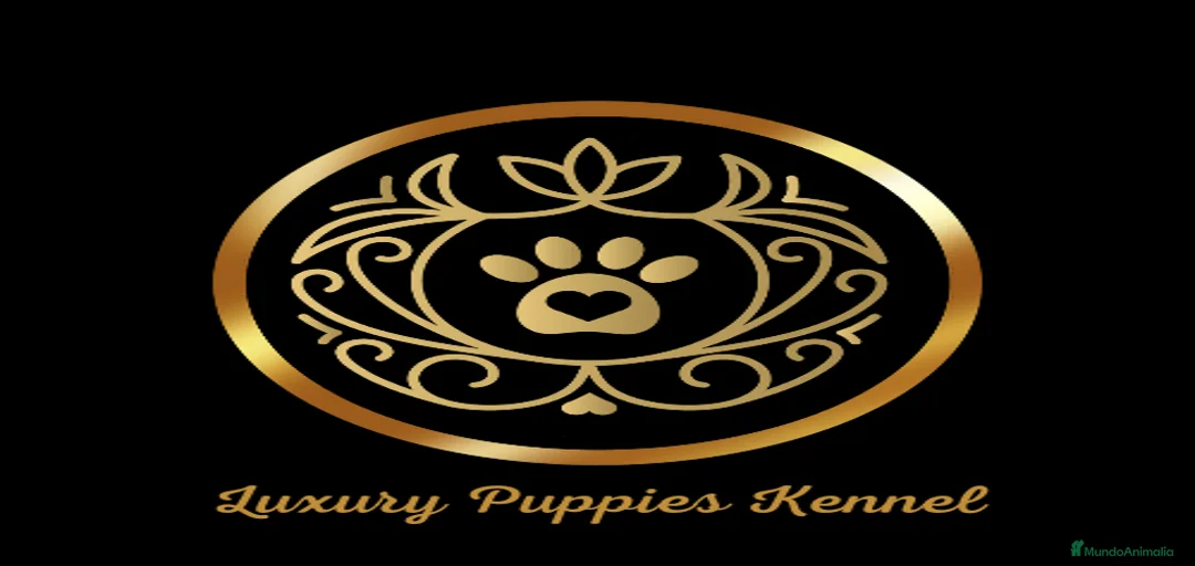 Imagen de galería {{count}}