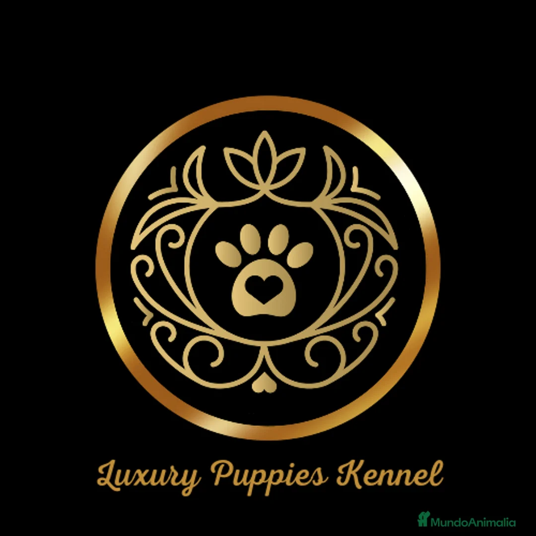 Imagen de galería {{count}}