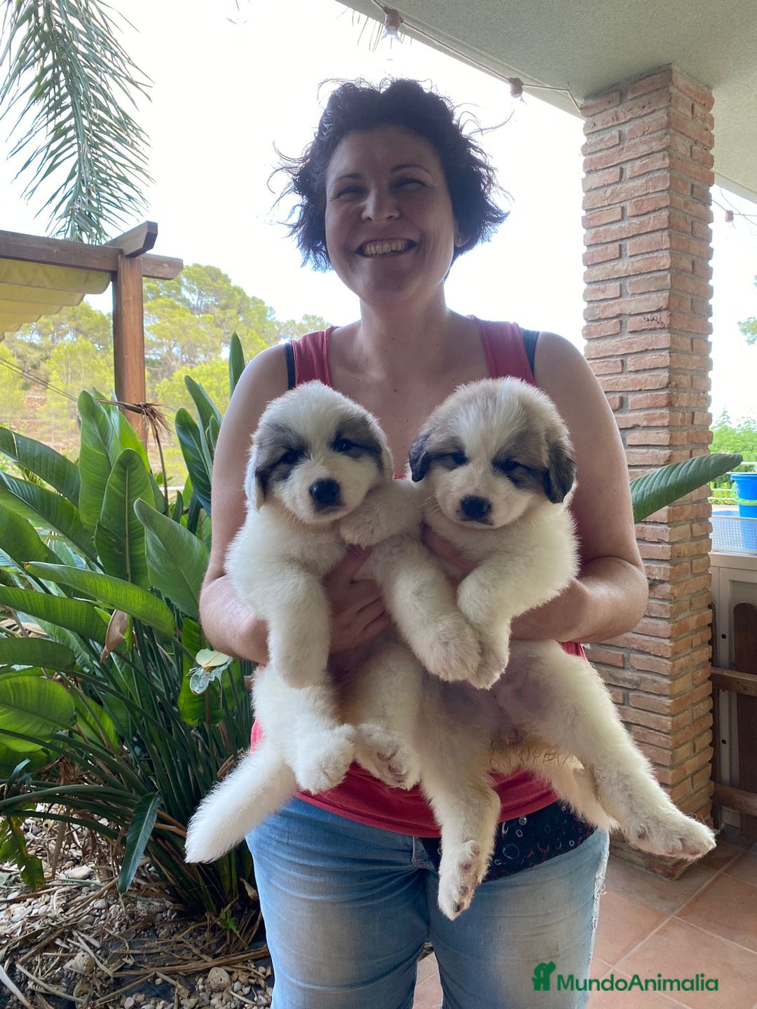 Imagen de galería {{count}}