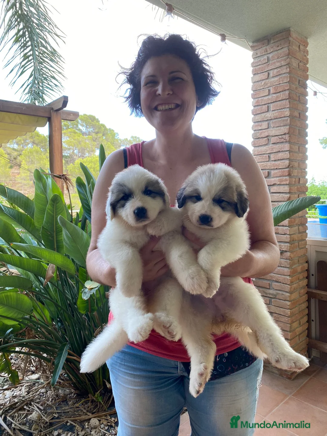 Imagen de galería {{count}}