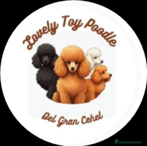 Imagen de galería {{count}}