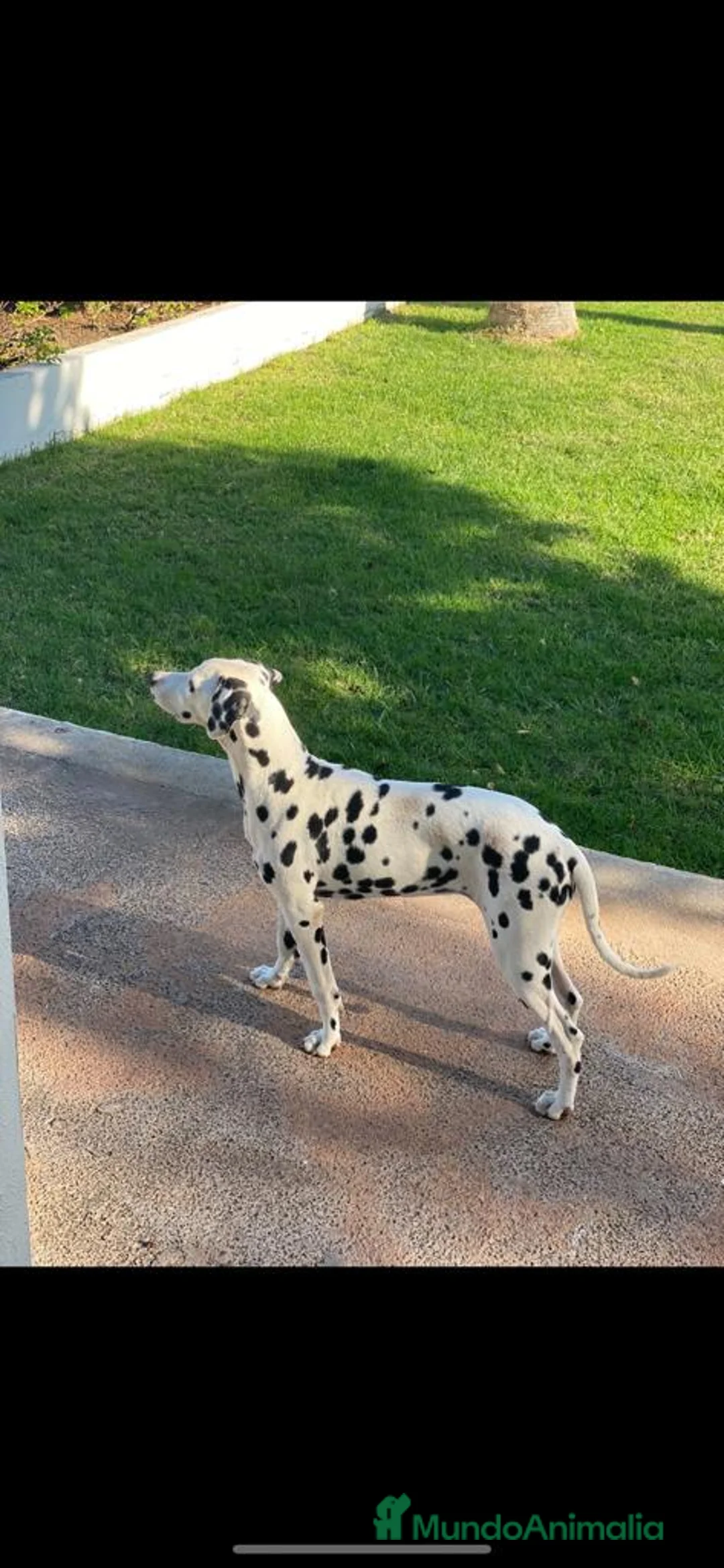 Imagen de galería {{count}}