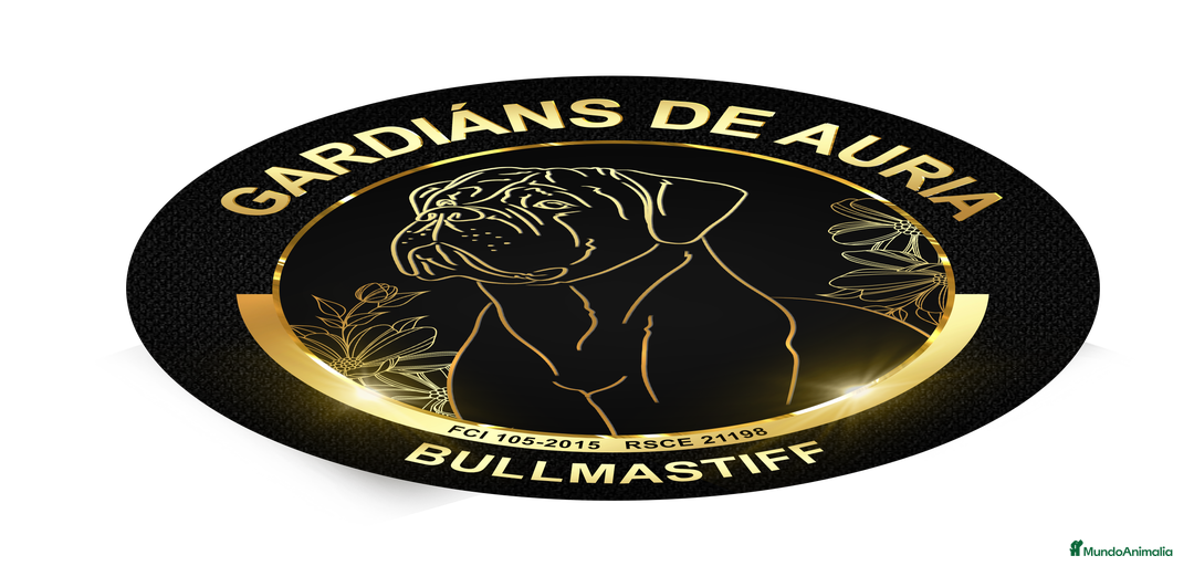 Imagen de galería {{count}}