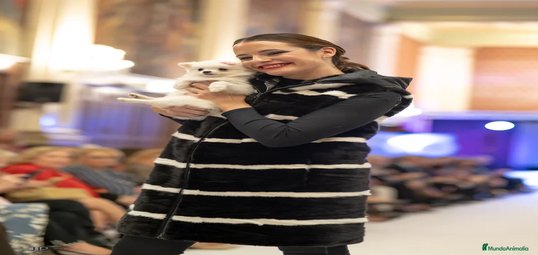 Imagen de galería {{count}}