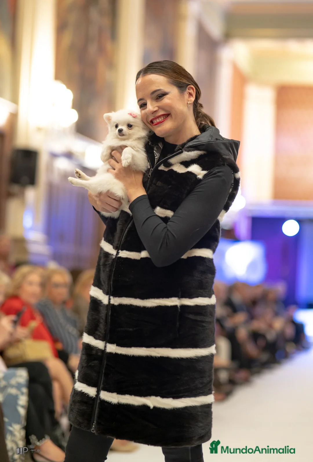 Imagen de galería {{count}}