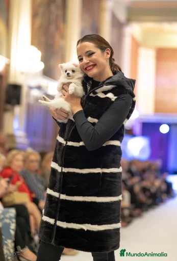 Imagen de galería {{count}}