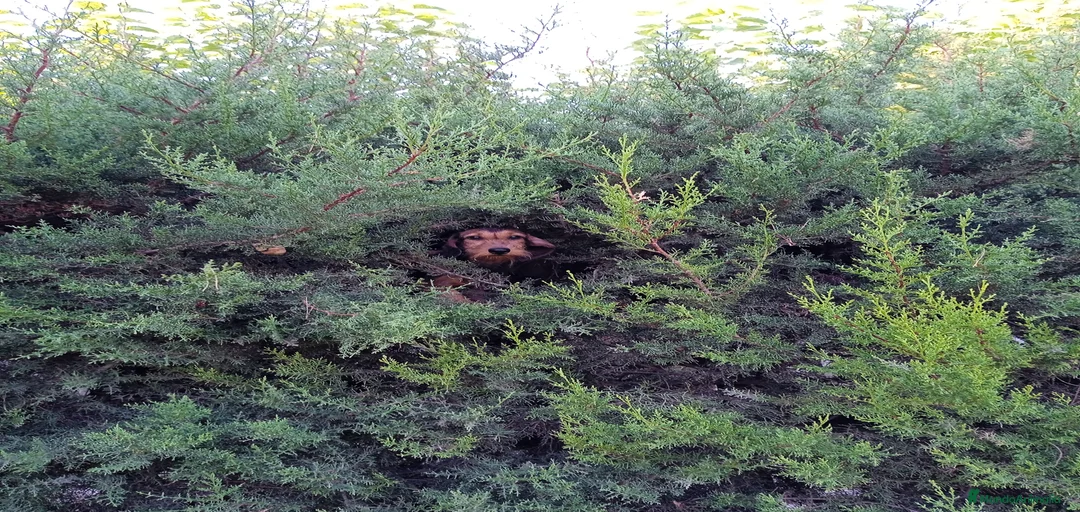 Imagen de galería {{count}}