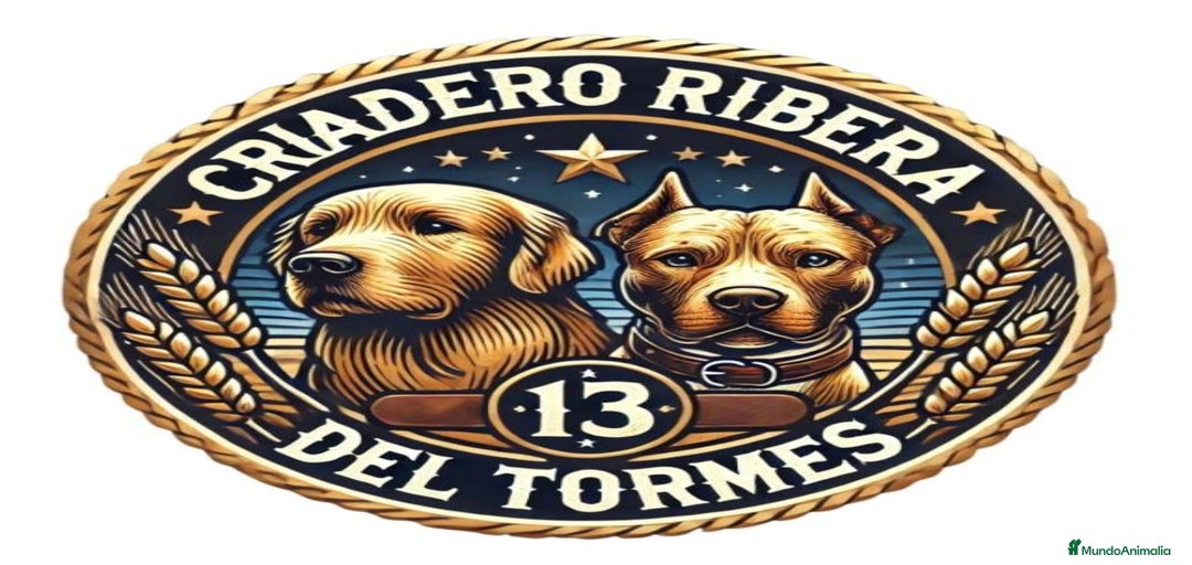 Imagen de galería {{count}}