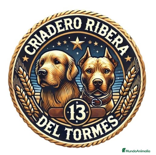 Imagen de galería {{count}}